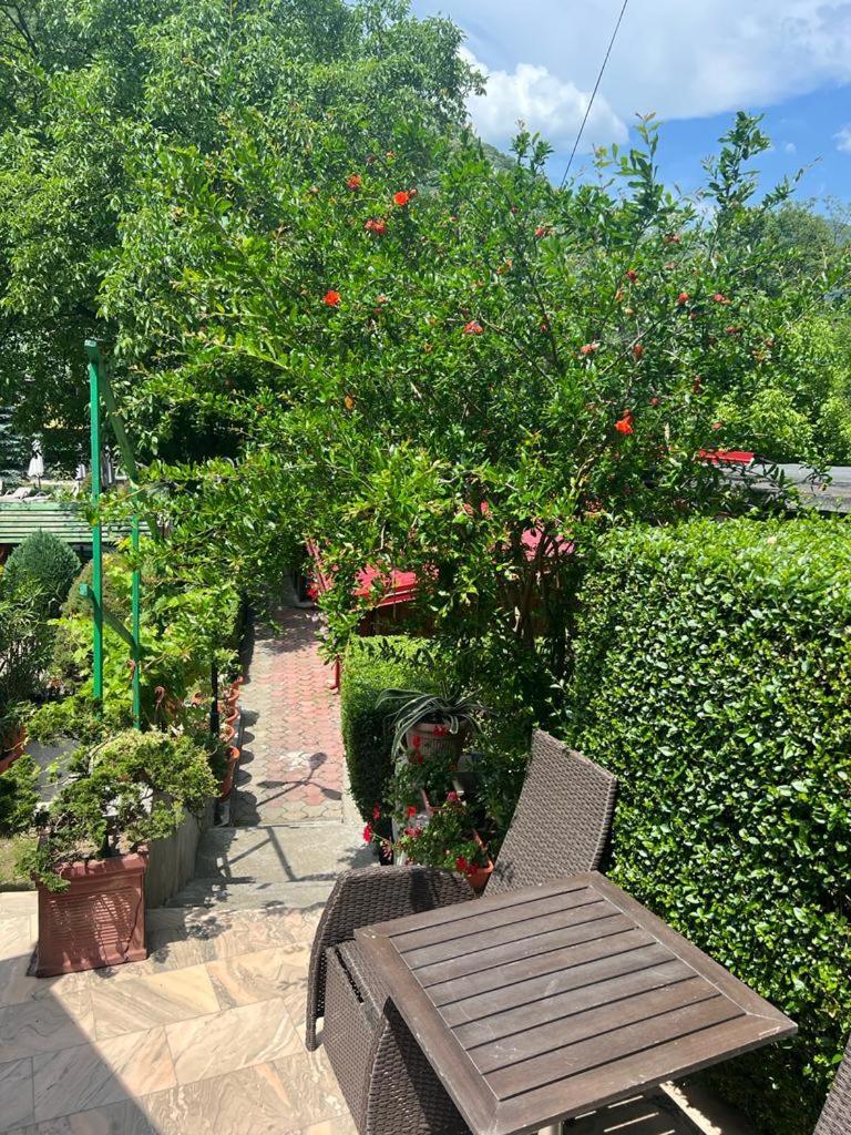 Pensiunea El Plazza Băile Herculane Esterno foto